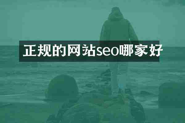 正规的网站seo哪家好