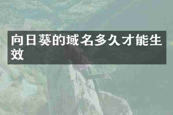 向日葵的域名多久才能生效
