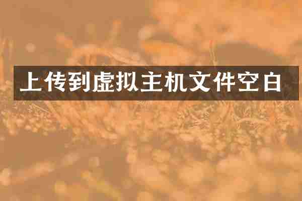 上传到虚拟主机文件空白