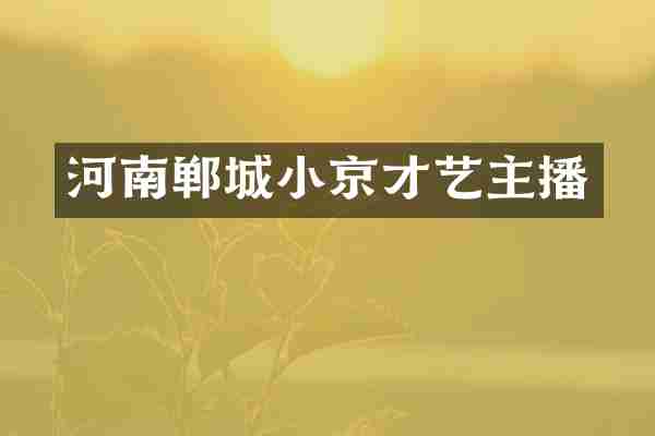 河南郸城小京才艺主播
