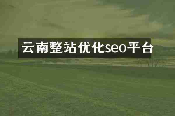 云南整站优化seo平台