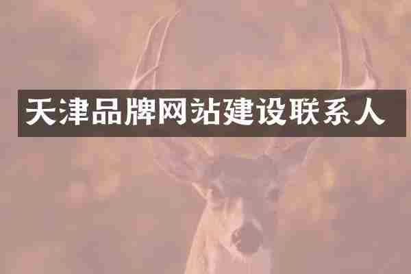 天津品牌网站建设联系人