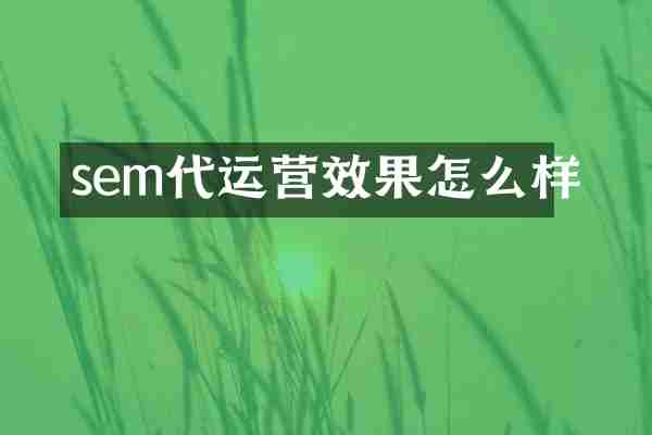 sem代运营效果怎么样