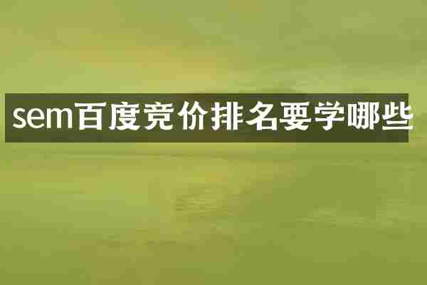 sem百度竞价排名要学哪些