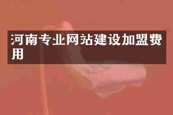 河南专业网站建设加盟费用