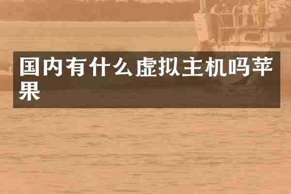 国内有什么虚拟主机吗苹果