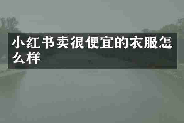 小红书卖很便宜的衣服怎么样