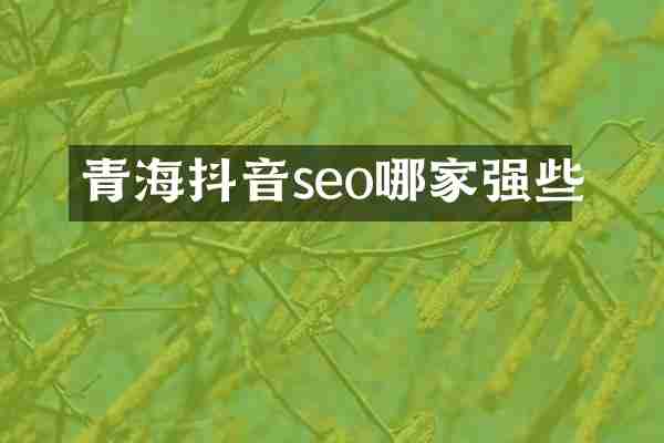 青海抖音seo哪家强些