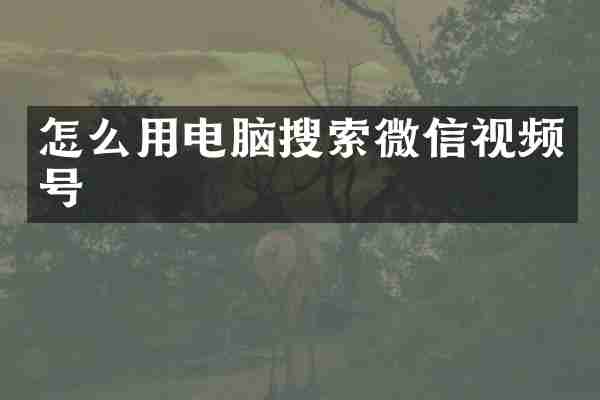 怎么用电脑搜索微信视频号