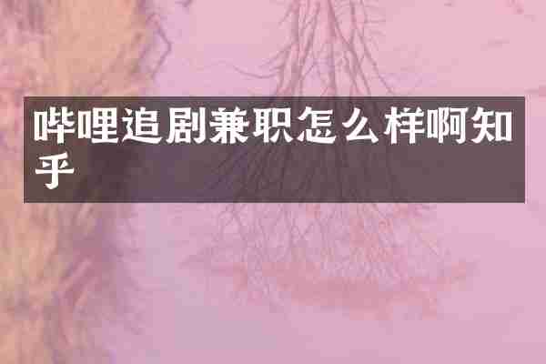哔哩追剧兼职怎么样啊知乎