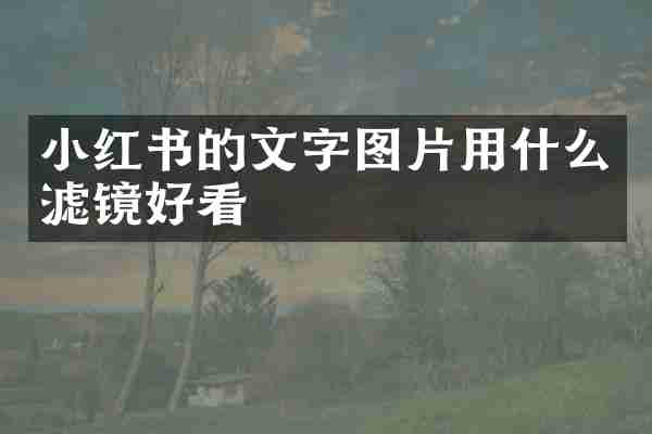 小红书的文字图片用什么滤镜好看
