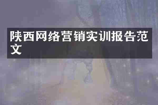 陕西网络营销实训报告范文