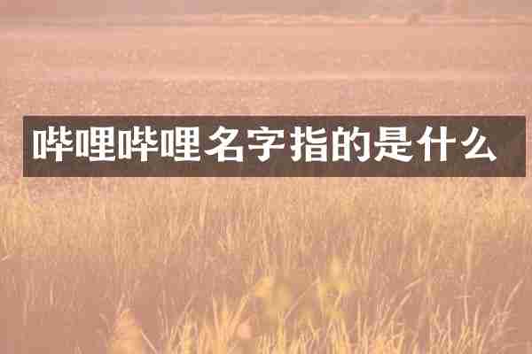 哔哩哔哩名字指的是什么