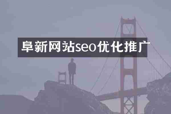 阜新网站seo优化推广
