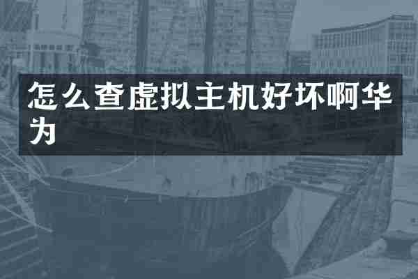 怎么查虚拟主机好坏啊华为