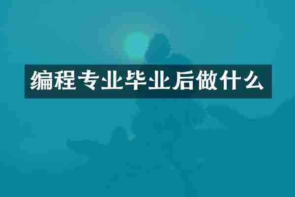 编程专业毕业后做什么
