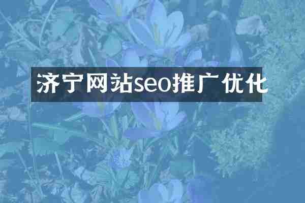 济宁网站seo推广优化