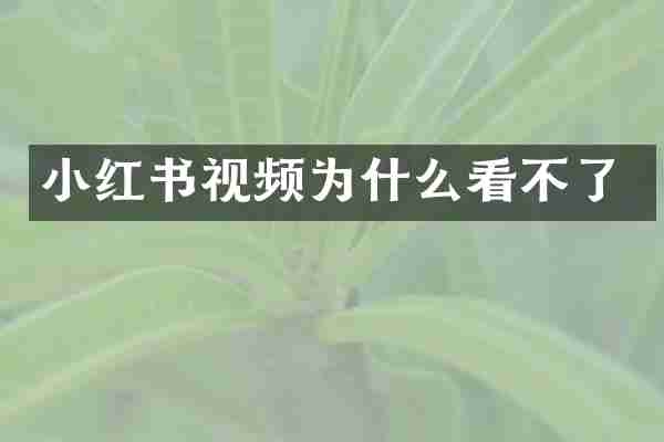 小红书视频为什么看不了