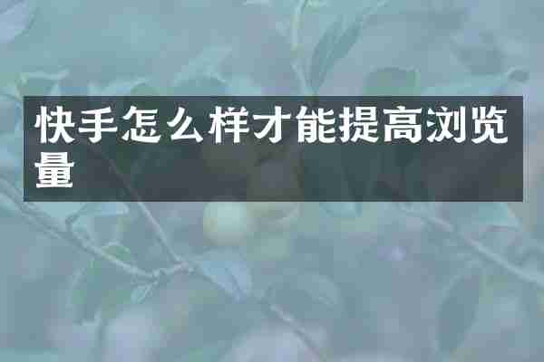 快手怎么样才能提高浏览量
