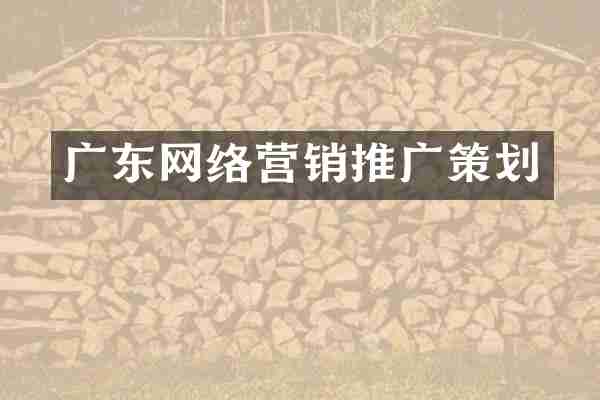 广东网络营销推广策划