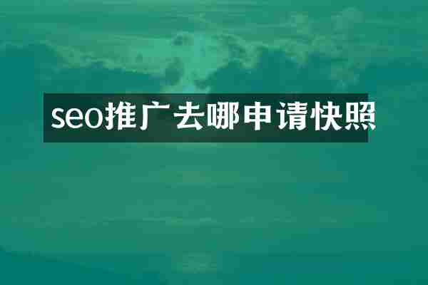 seo推广去哪申请快照