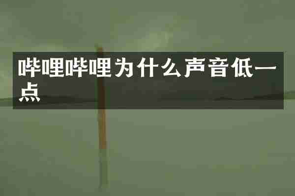 哔哩哔哩为什么声音低一点