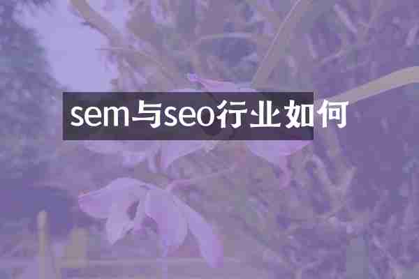 sem与seo行业如何