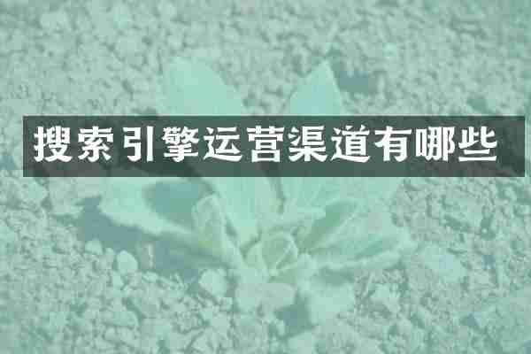 搜索引擎运营渠道有哪些
