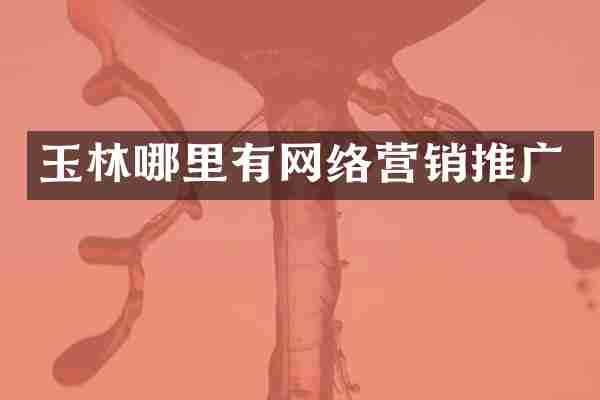 玉林哪里有网络营销推广