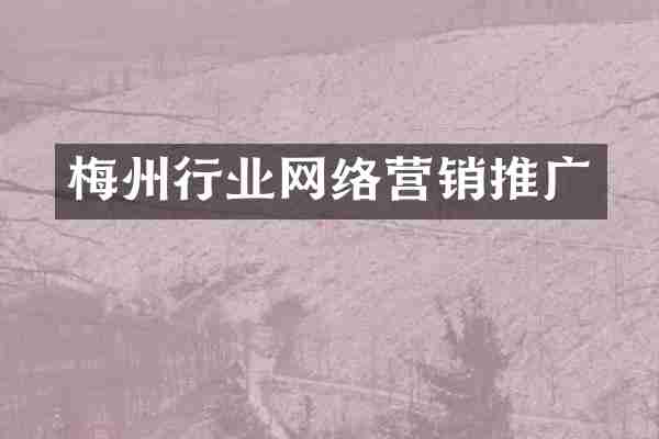 梅州行业网络营销推广
