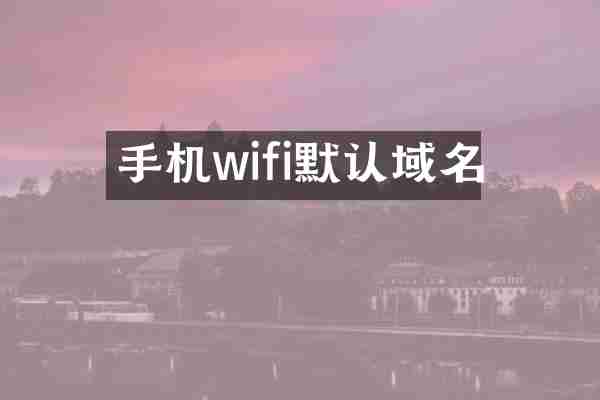 手机wifi默认域名