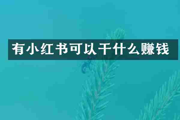 有小红书可以干什么赚钱