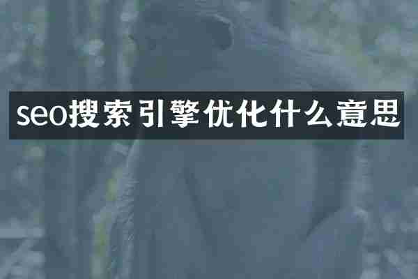 seo搜索引擎优化什么意思