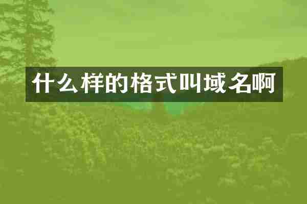 什么样的格式叫域名啊