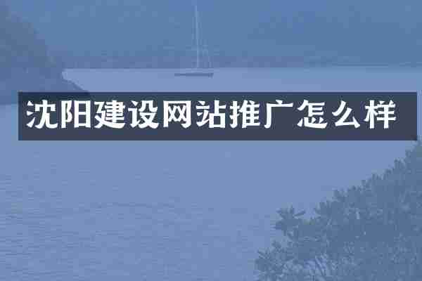 沈阳建设网站推广怎么样