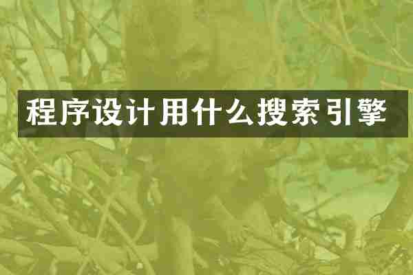 程序设计用什么搜索引擎