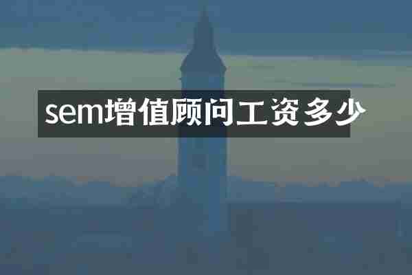 sem增值顾问工资多少