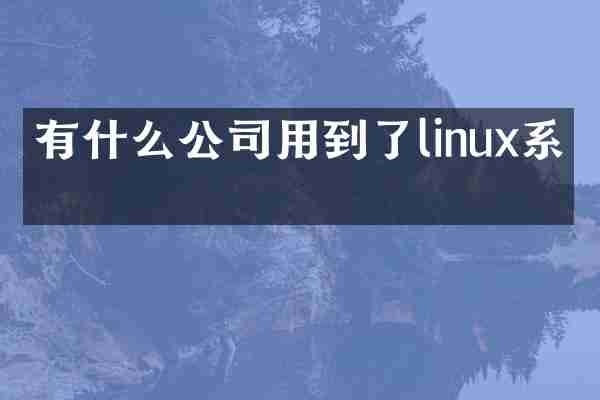 有什么公司用到了linux系统