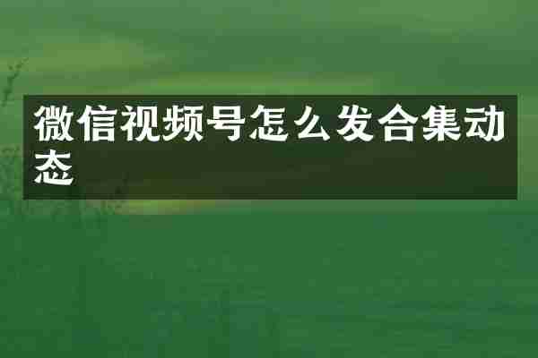 微信视频号怎么发合集动态