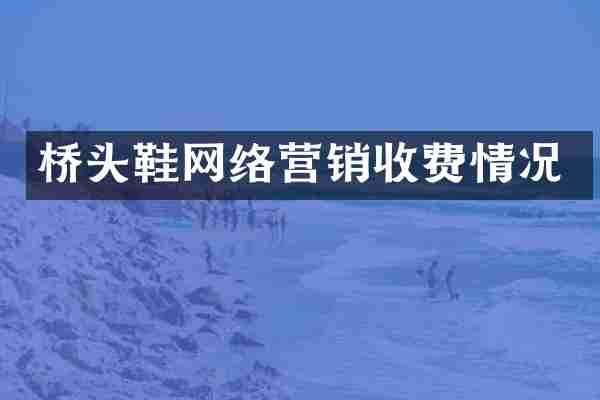 桥头鞋网络营销收费情况