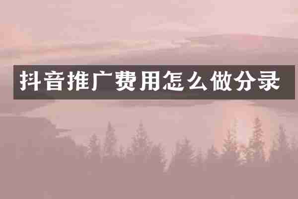 抖音推广费用怎么做分录