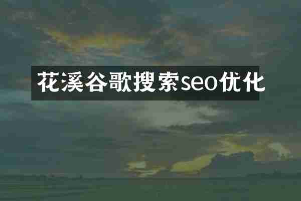 花溪谷歌搜索seo优化