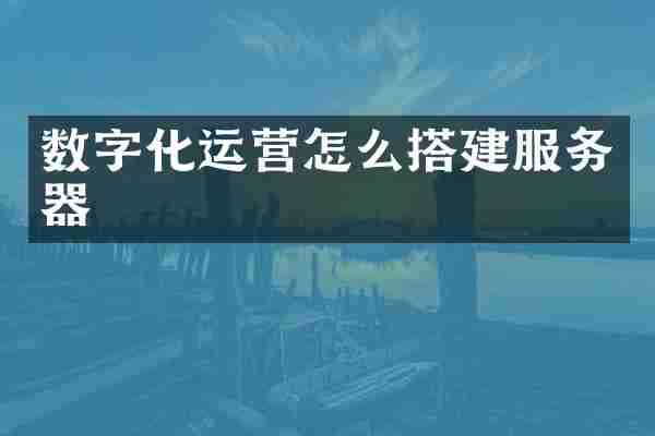 数字化运营怎么搭建服务器