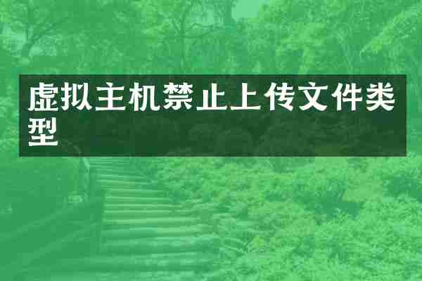 虚拟主机禁止上传文件类型