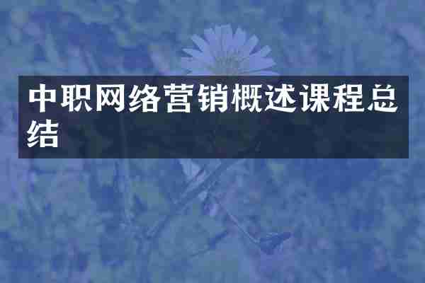 中职网络营销概述课程总结