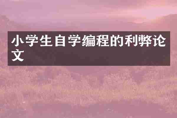 小学生自学编程的利弊论文