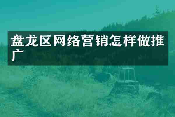 盘龙区网络营销怎样做推广