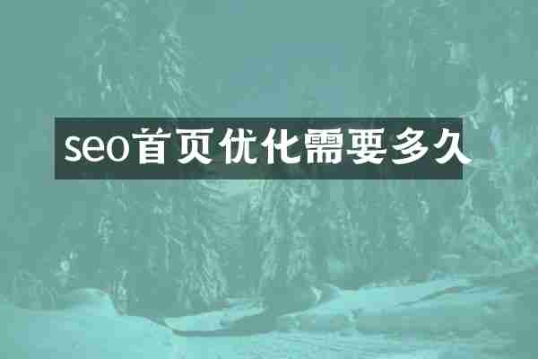 seo首页优化需要多久