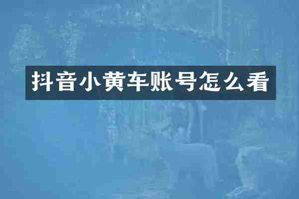 抖音小黄车账号怎么看
