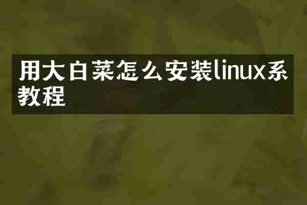 用大白菜怎么安装linux系统教程